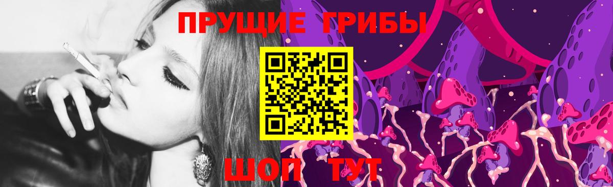 Михайловск  Галлюциногенные грибы GOLDEN TEACHER  купить   Вход с VPN 